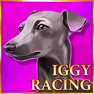 Iggy Racing game thumbnail